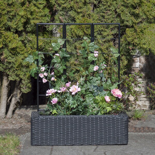 Wicker Planter with Trellis, black